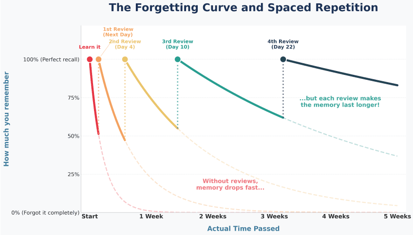 A graph illustrating the Ebbinghaus Forgetting Curve and the impact of spaced repetition over time.